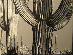 Kaktus 3